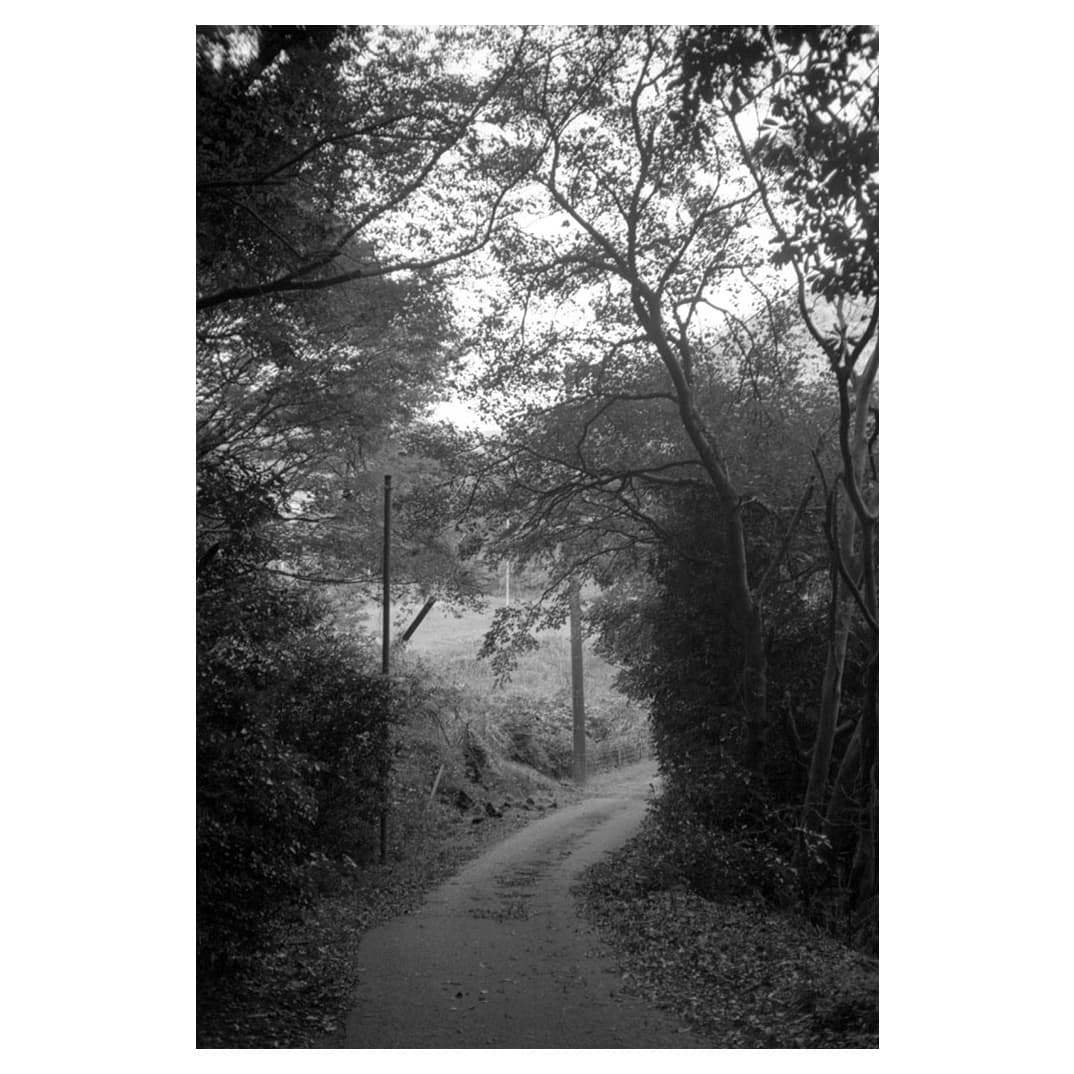 f:id:aremo-koremo:20201028030611j:plain