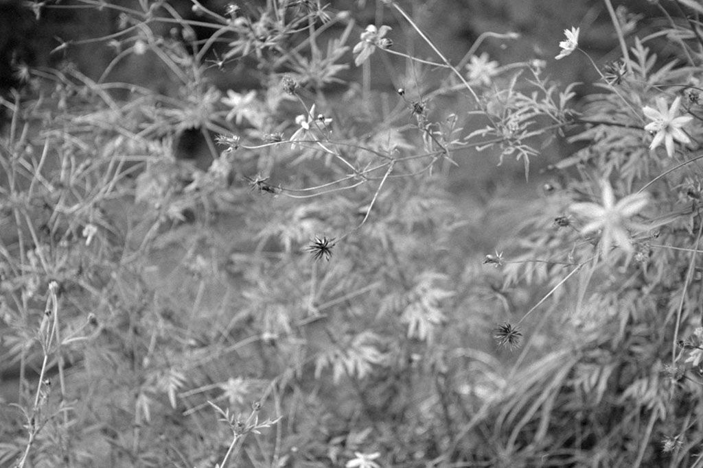 f:id:aremo-koremo:20201028162211j:plain