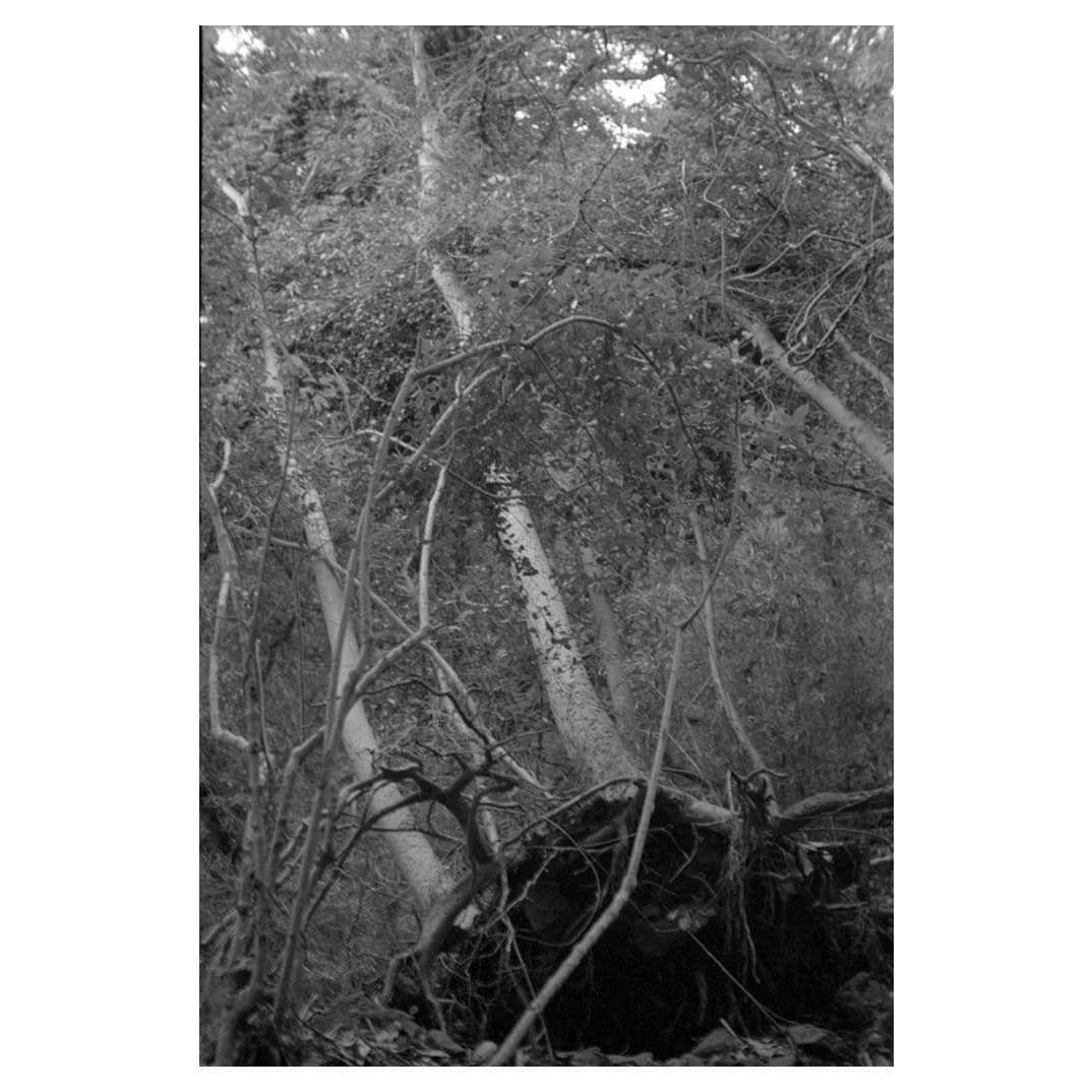 f:id:aremo-koremo:20201028162727j:plain