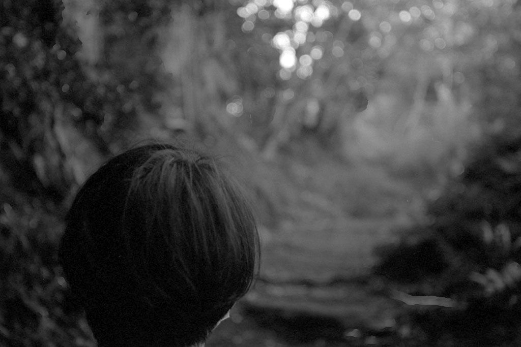 f:id:aremo-koremo:20201028162953j:plain