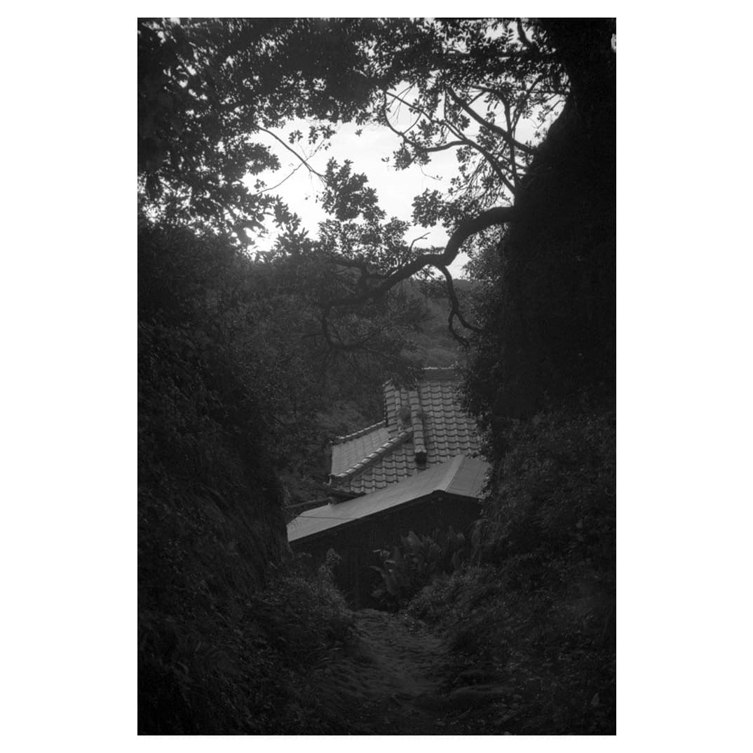 f:id:aremo-koremo:20201028163207j:plain