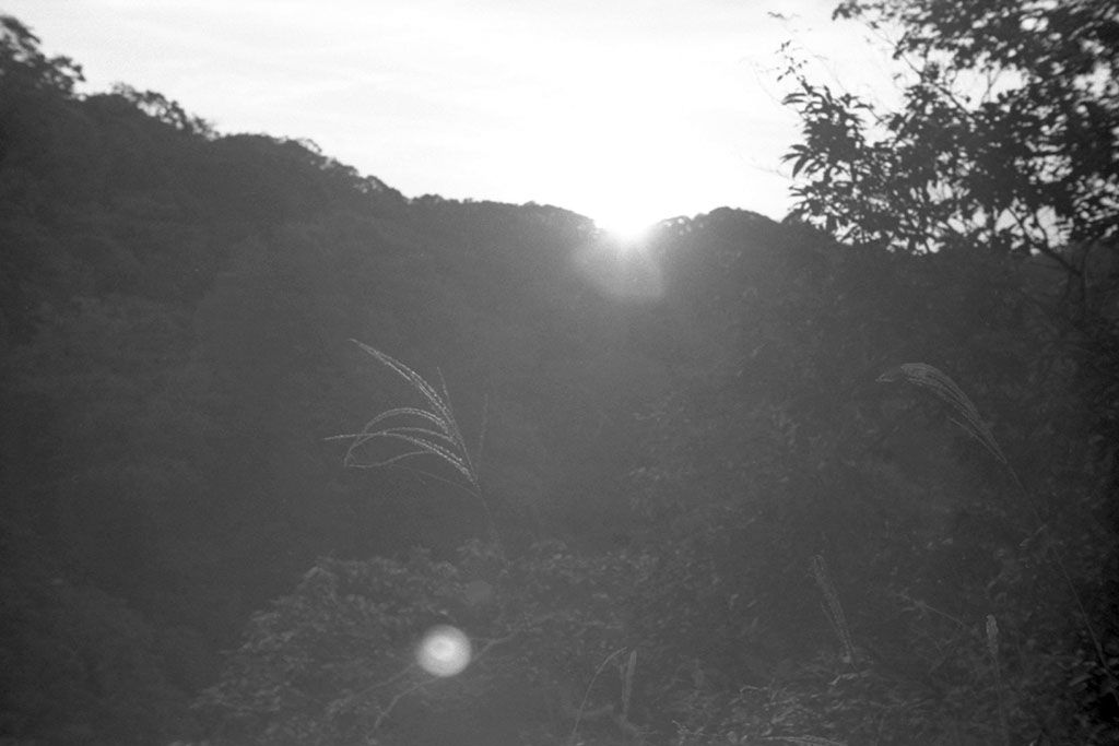 f:id:aremo-koremo:20201028163249j:plain