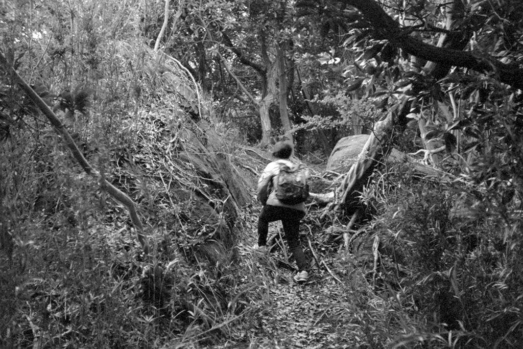 f:id:aremo-koremo:20201028163411j:plain