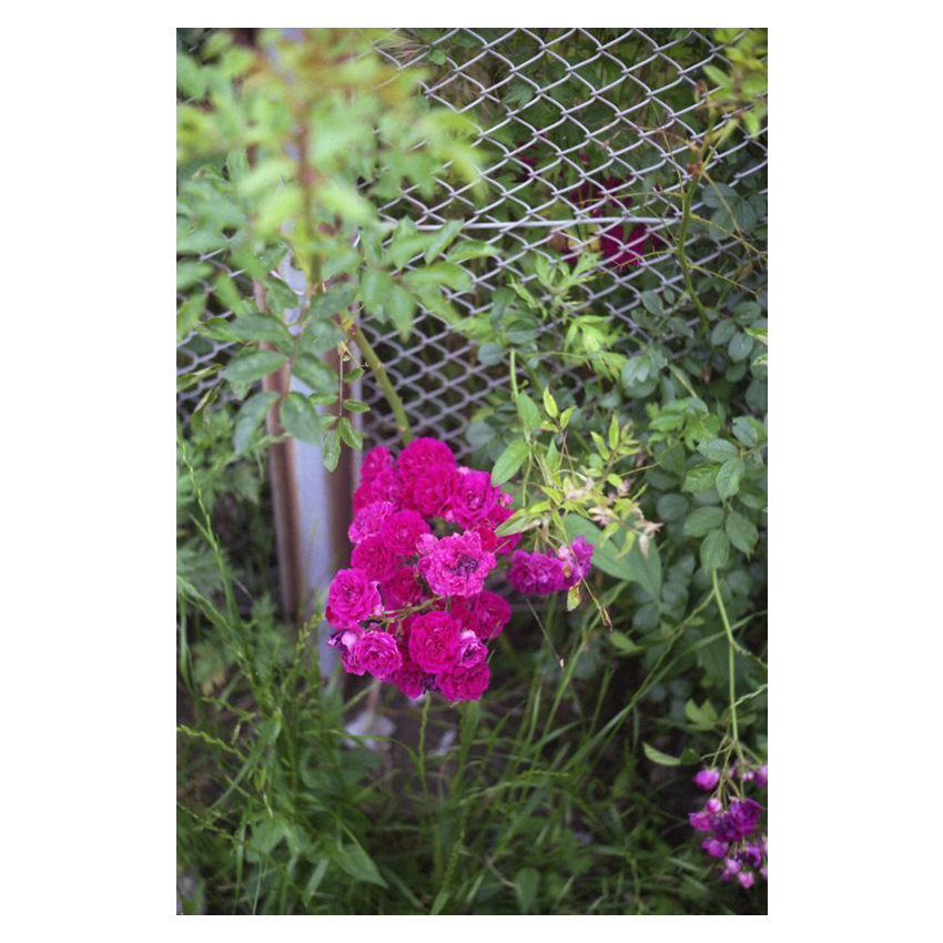 f:id:aremo-koremo:20201031020856j:plain