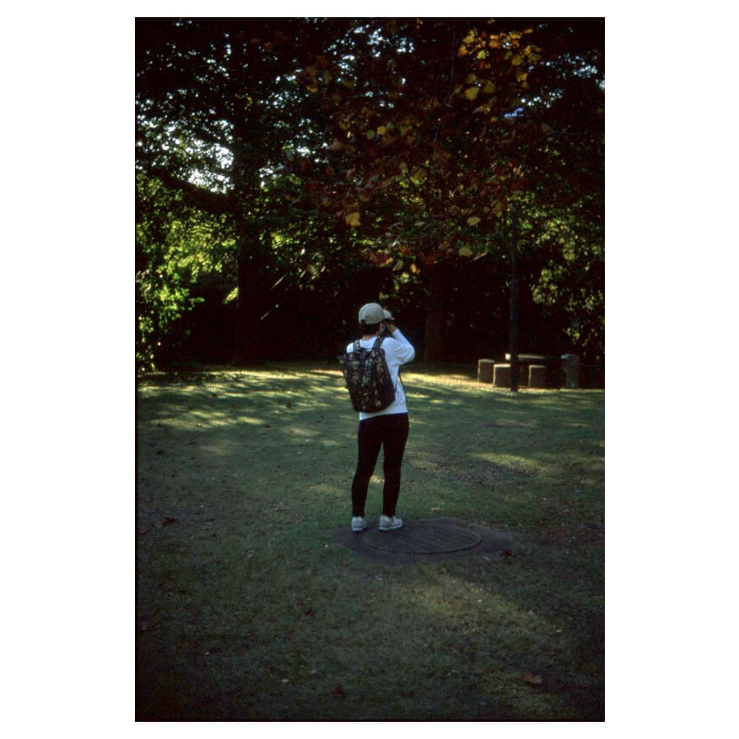 f:id:aremo-koremo:20201109232117j:plain