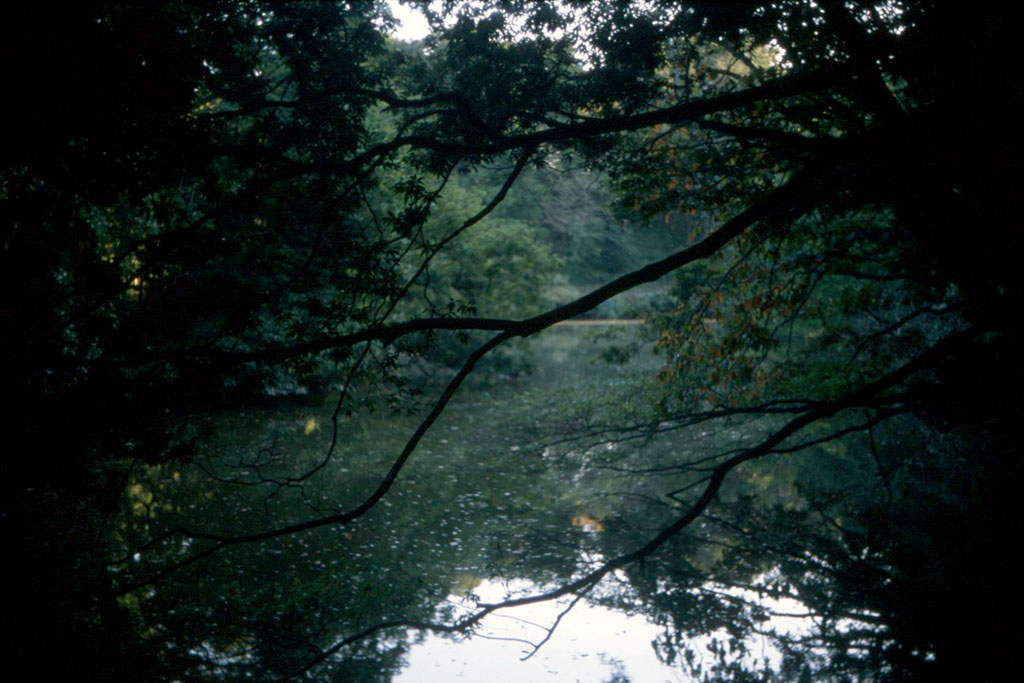 f:id:aremo-koremo:20201110204845j:plain