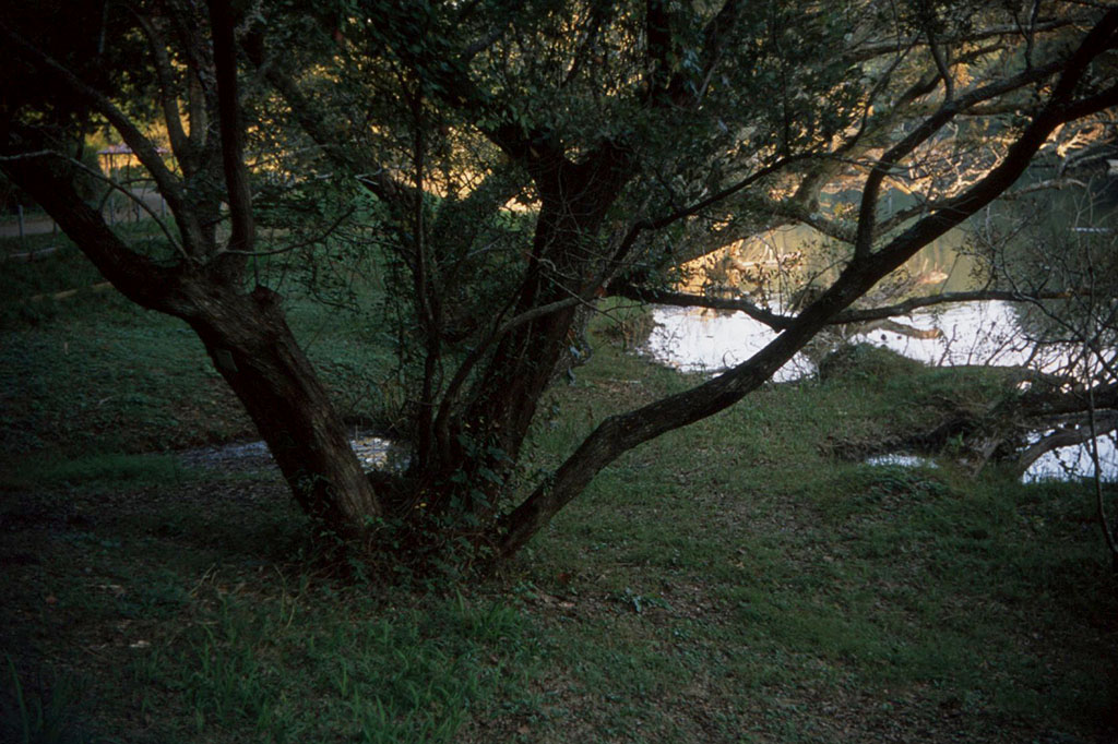 f:id:aremo-koremo:20201110210018j:plain