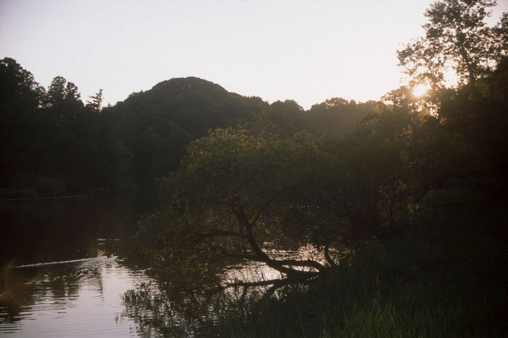 f:id:aremo-koremo:20201110210246j:plain