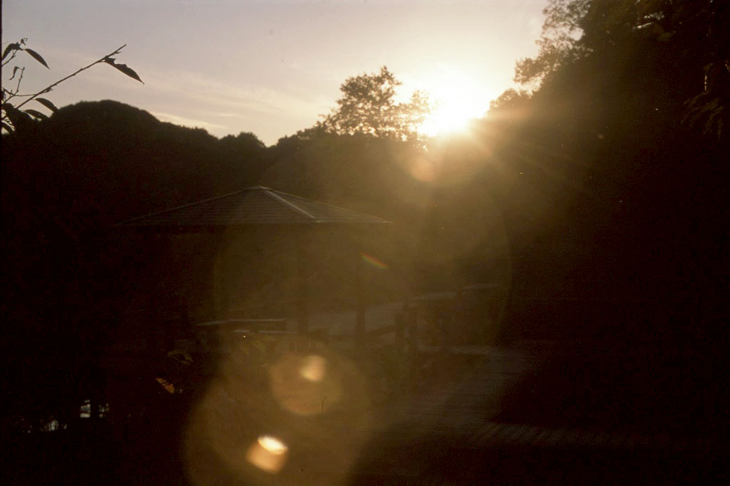 f:id:aremo-koremo:20201110210337j:plain