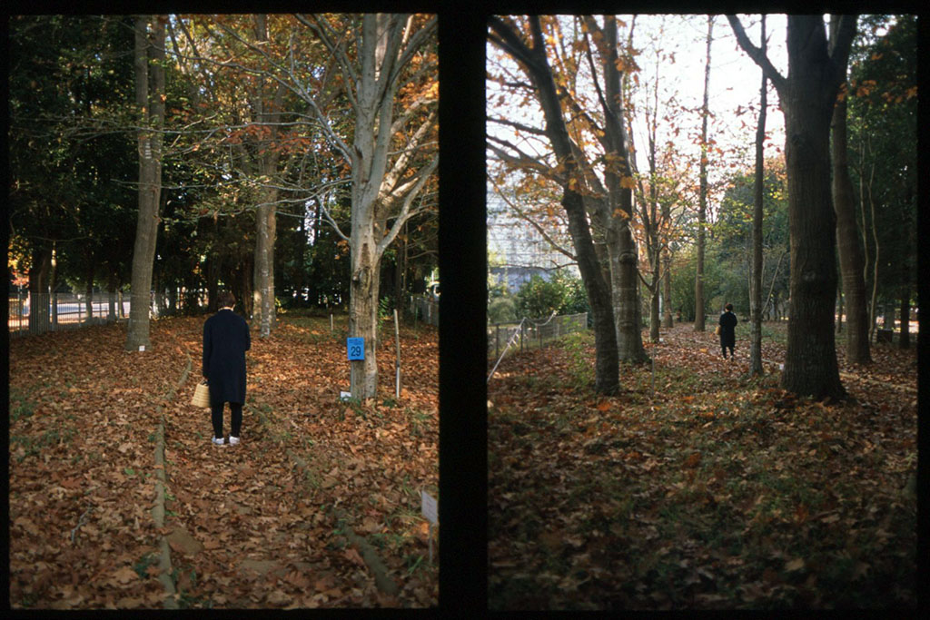 f:id:aremo-koremo:20201129032529j:plain