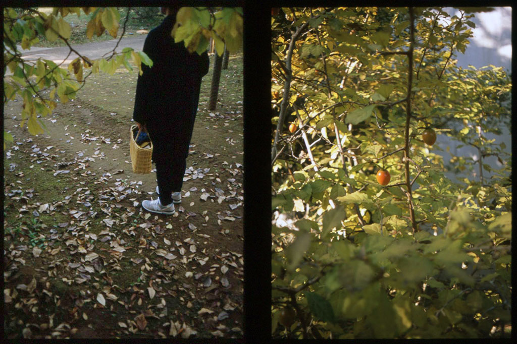 f:id:aremo-koremo:20201129032934j:plain