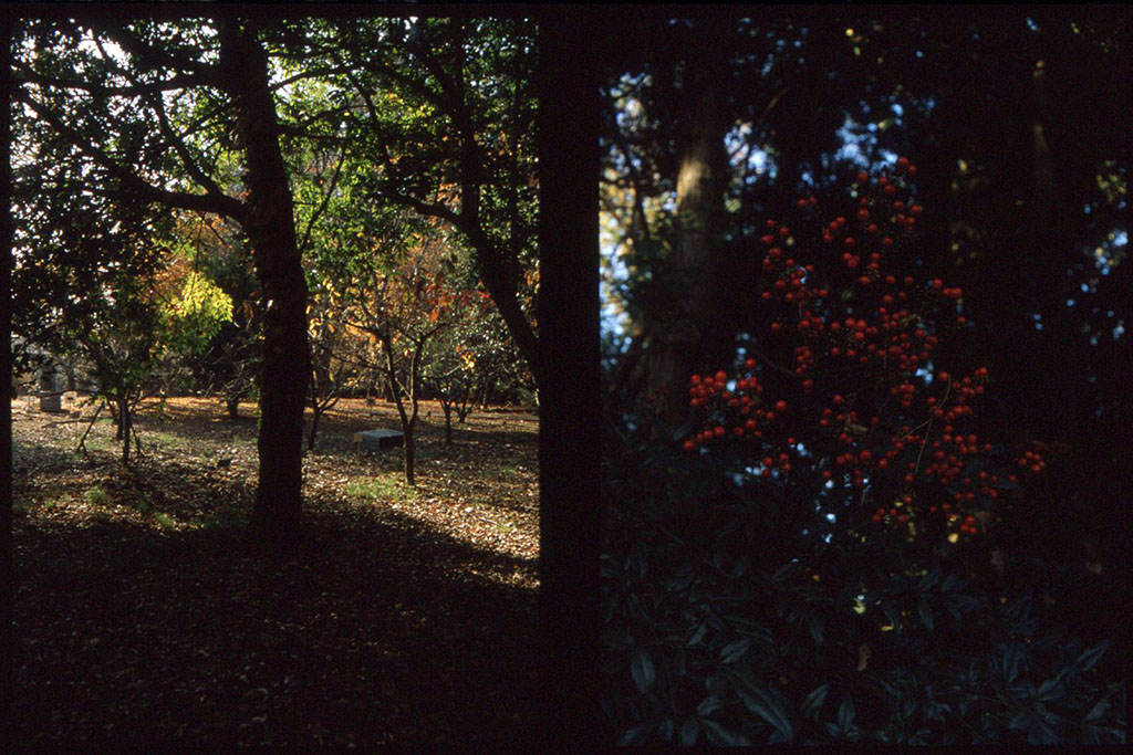 f:id:aremo-koremo:20201129033807j:plain