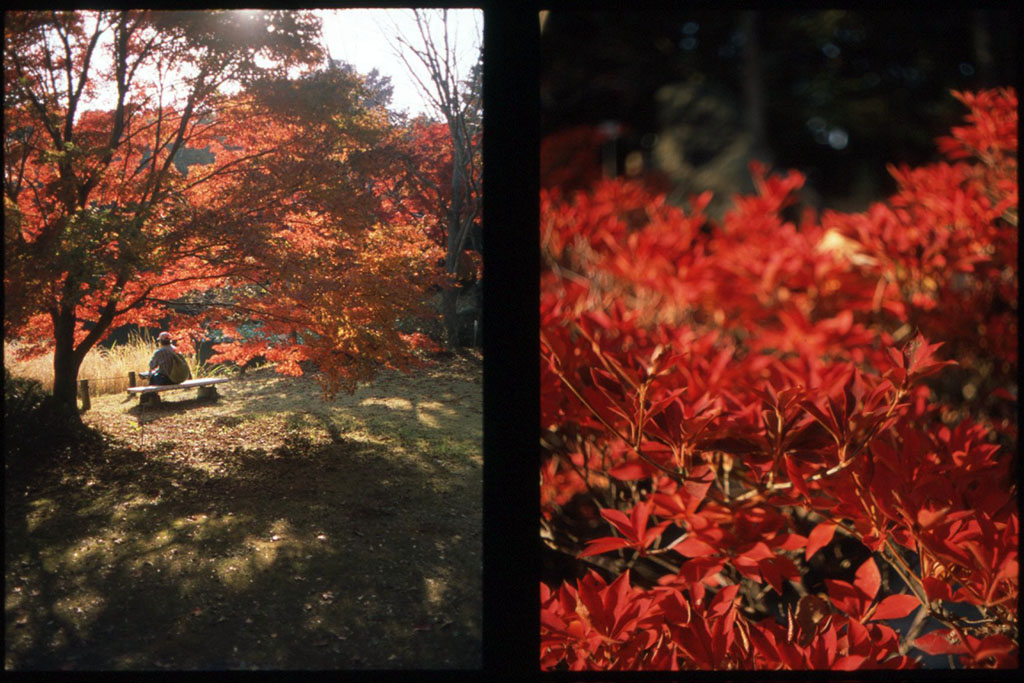 f:id:aremo-koremo:20201129034001j:plain