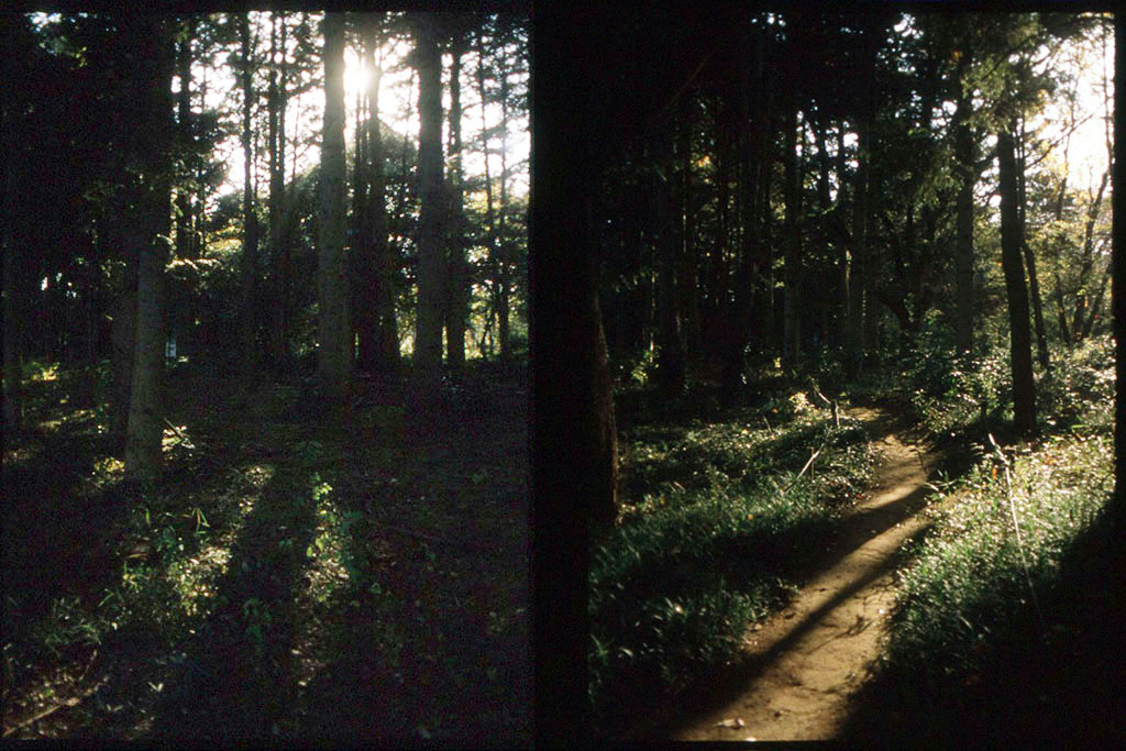 f:id:aremo-koremo:20201129034450j:plain