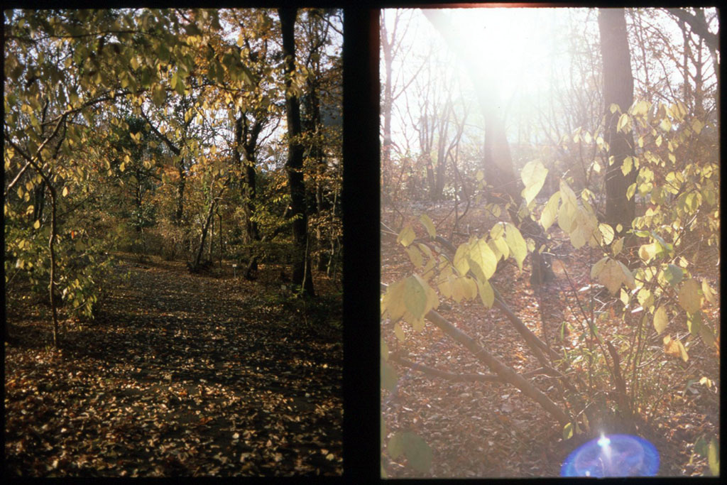 f:id:aremo-koremo:20201129035009j:plain