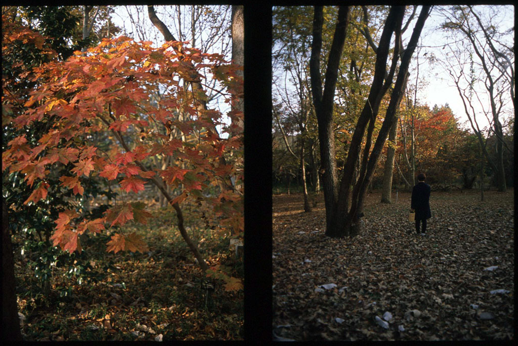 f:id:aremo-koremo:20201129035210j:plain