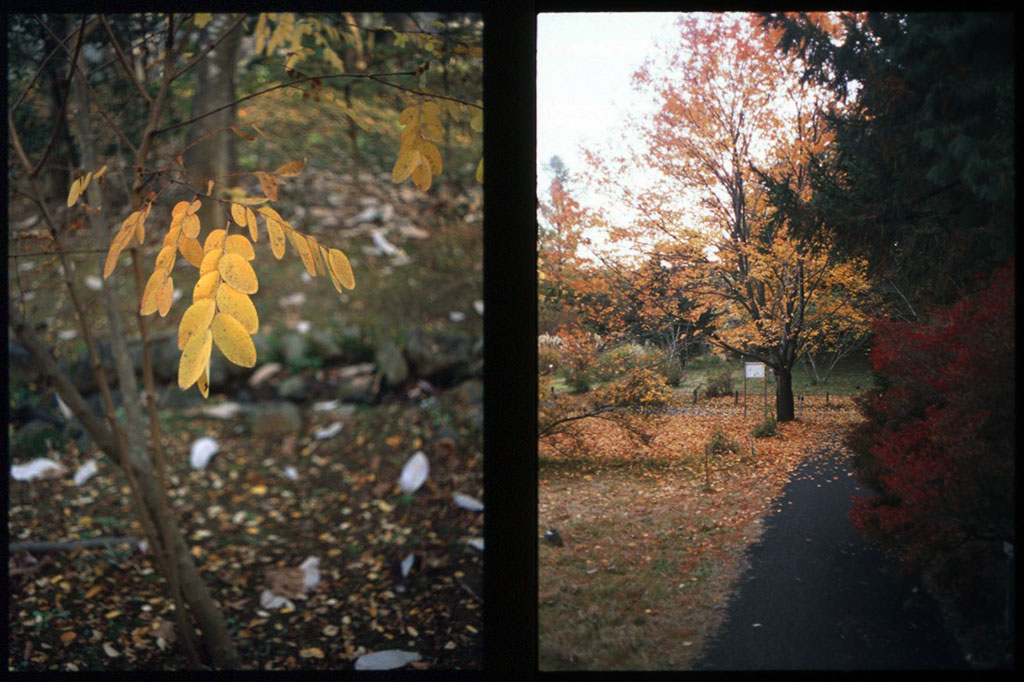 f:id:aremo-koremo:20201129035349j:plain