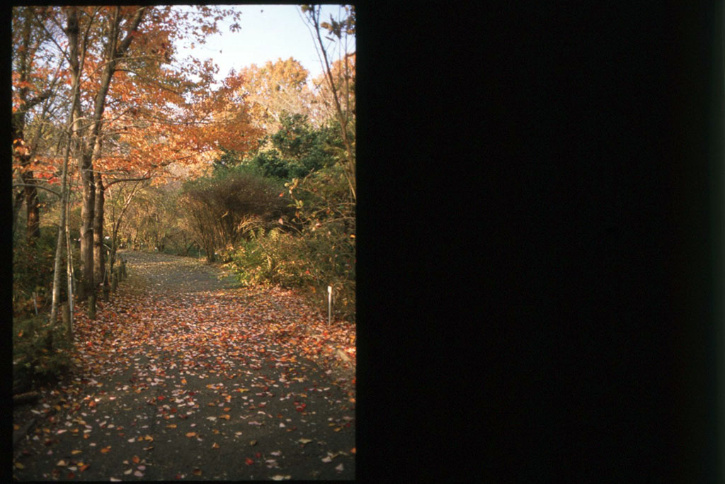 f:id:aremo-koremo:20201129035623j:plain