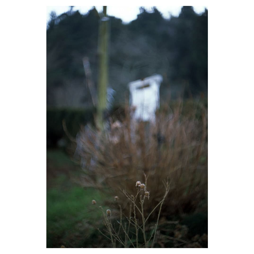 f:id:aremo-koremo:20210112015000j:plain