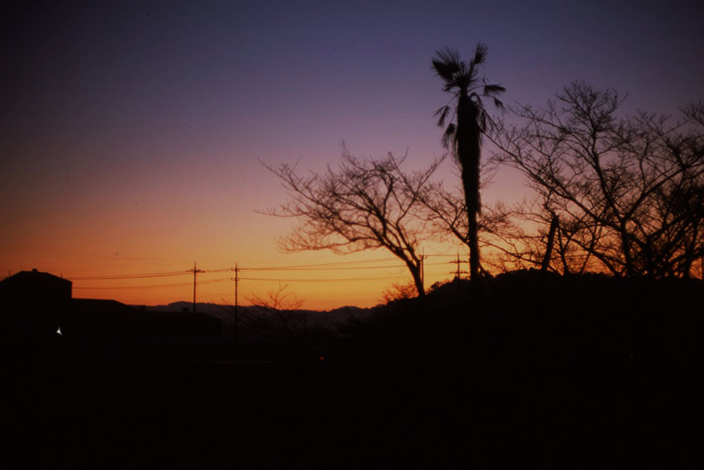 f:id:aremo-koremo:20210112020855j:plain