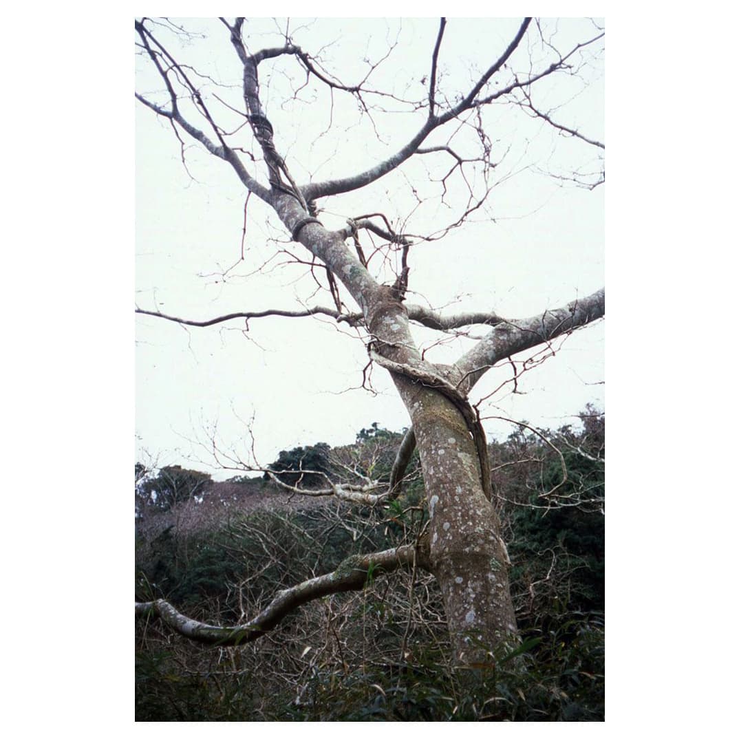 f:id:aremo-koremo:20210120023621j:plain
