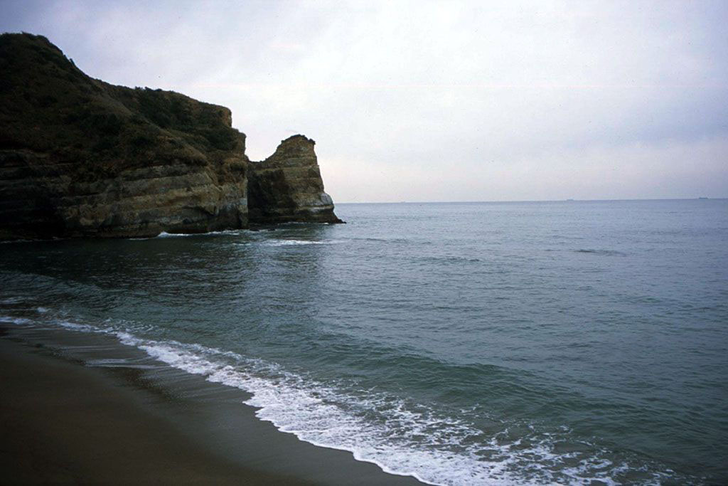 f:id:aremo-koremo:20210120024956j:plain