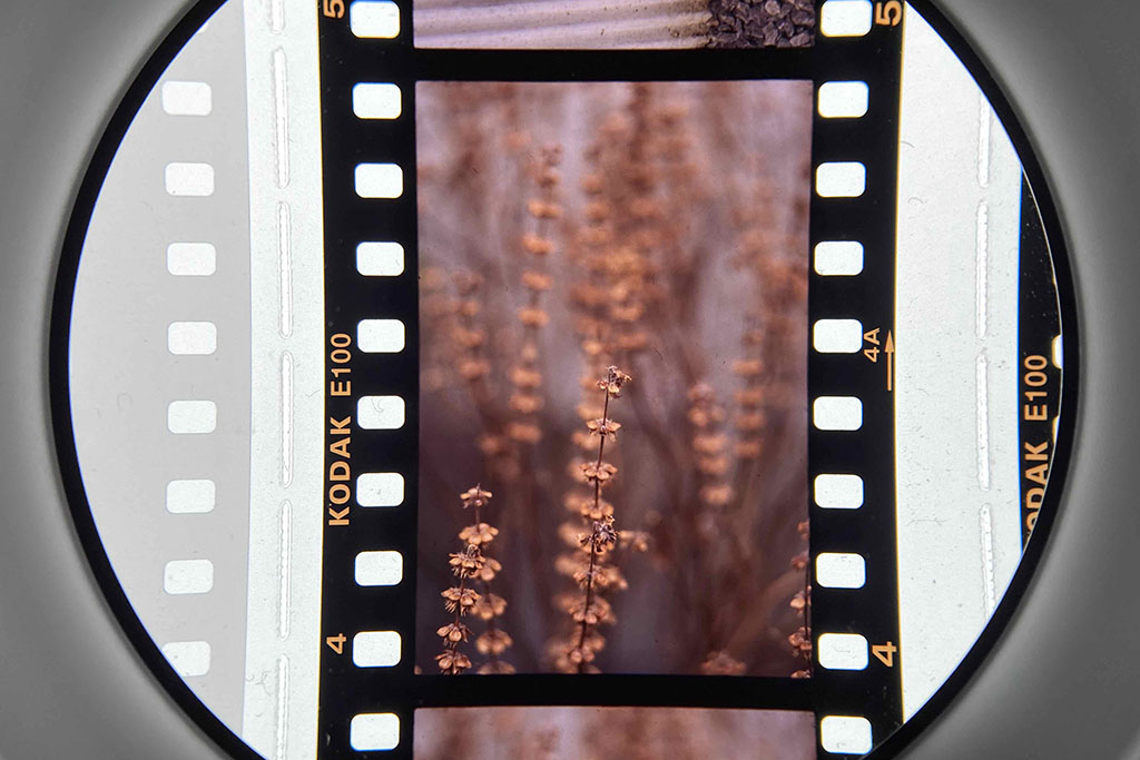 f:id:aremo-koremo:20210212061741j:plain