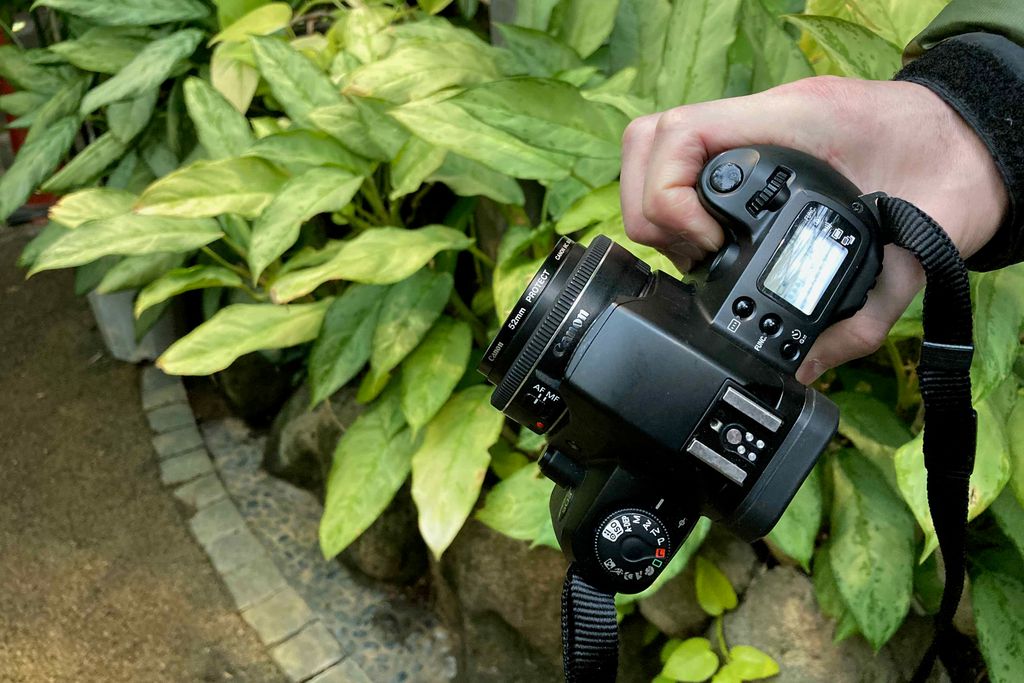 フィルムカメラのCanon New EOS KissとEF40mm f2.8 STMで三陽メディア