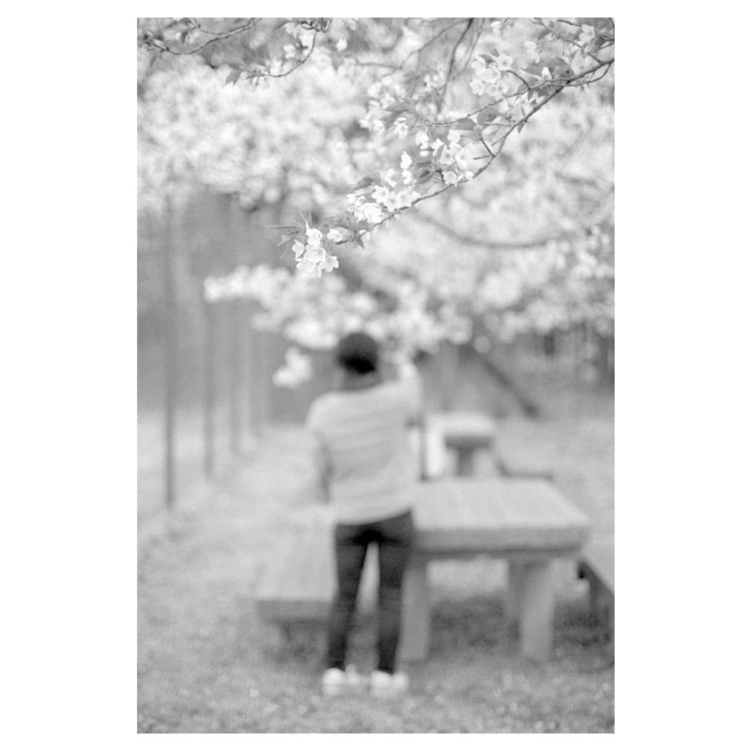 f:id:aremo-koremo:20210408120926j:plain