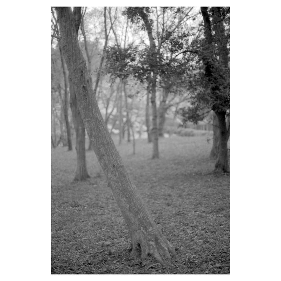 f:id:aremo-koremo:20210408121627j:plain