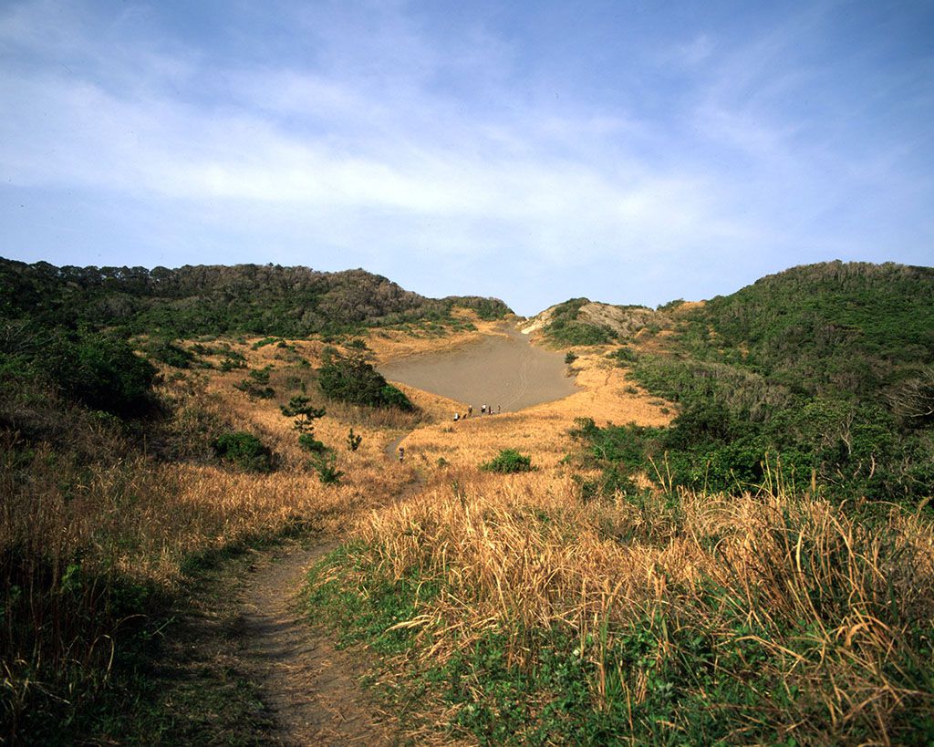 f:id:aremo-koremo:20210409104653j:plain