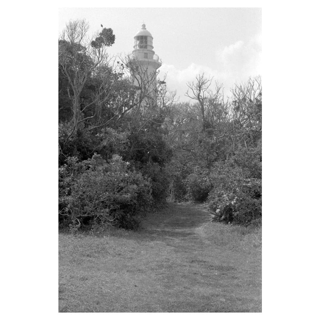 f:id:aremo-koremo:20210409135830j:plain