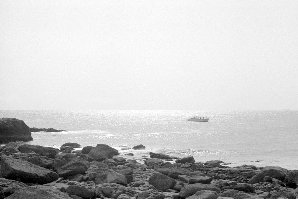 f:id:aremo-koremo:20210409144000j:plain