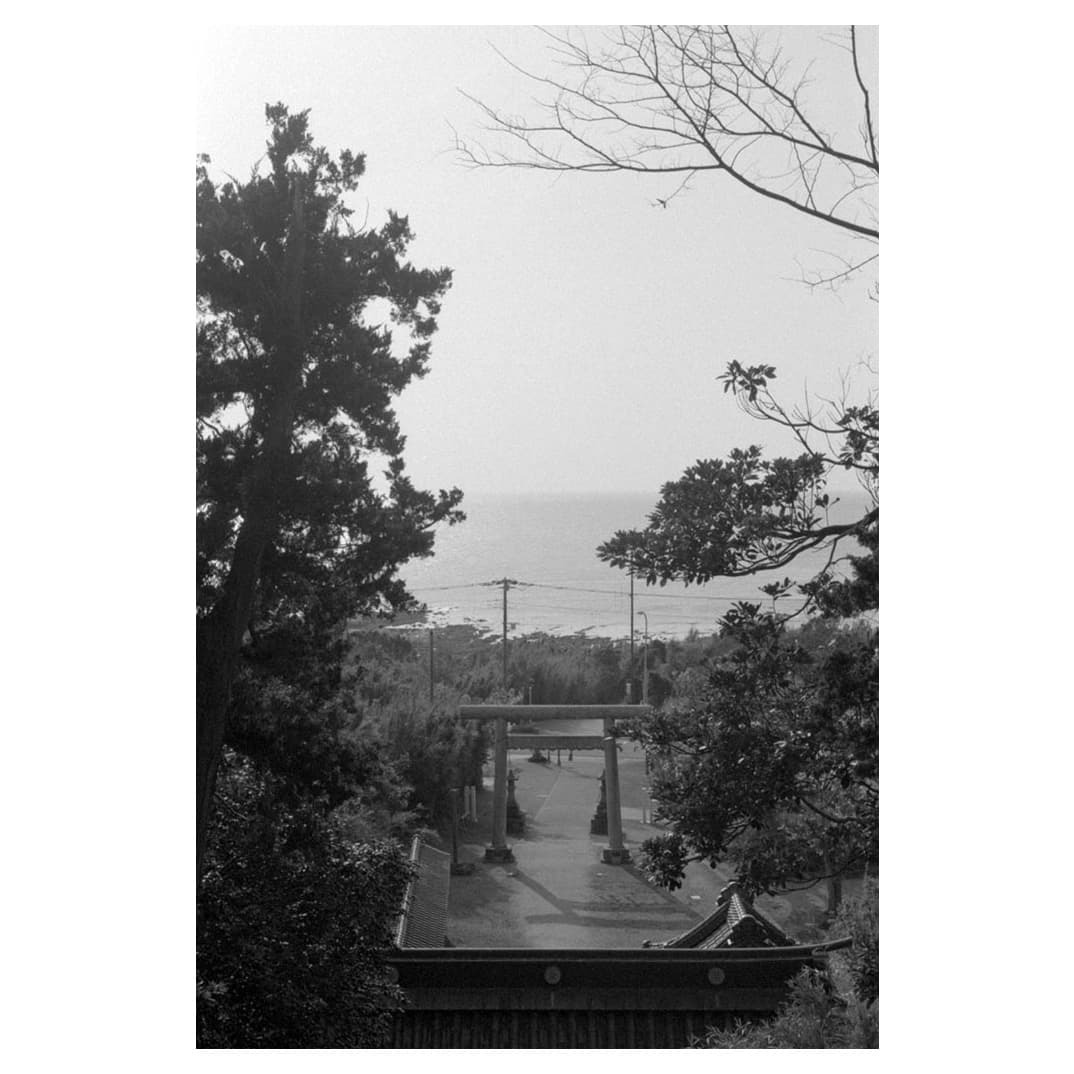 f:id:aremo-koremo:20210409145530j:plain