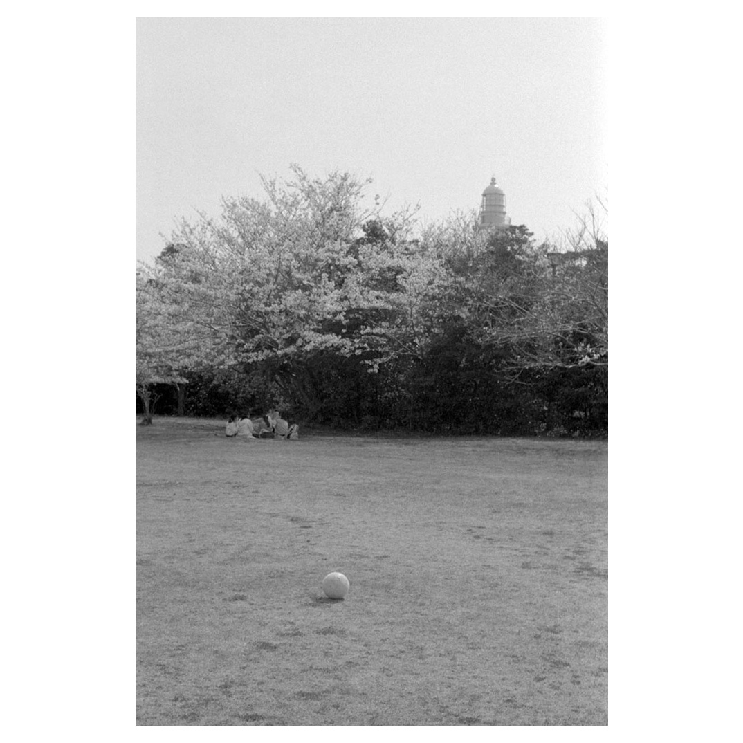 f:id:aremo-koremo:20210409223512j:plain