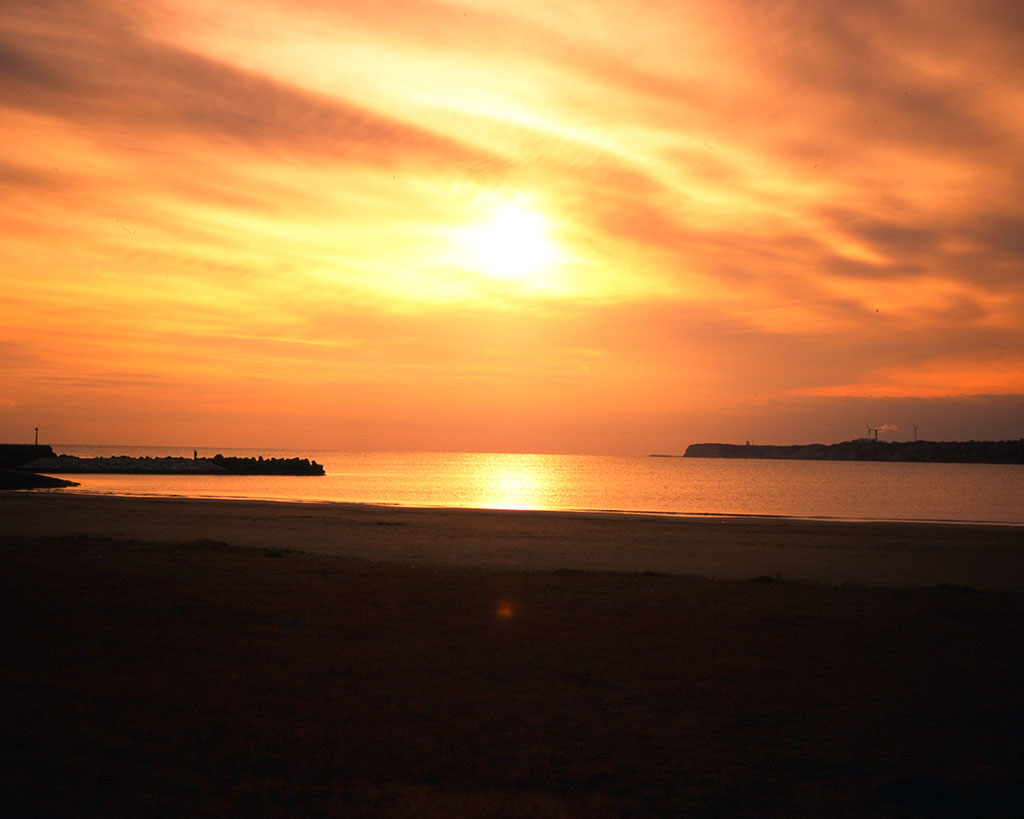 f:id:aremo-koremo:20210409223846j:plain