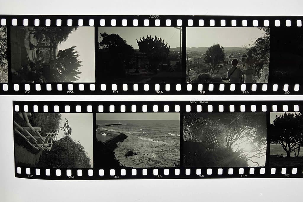 f:id:aremo-koremo:20210415022318j:plain