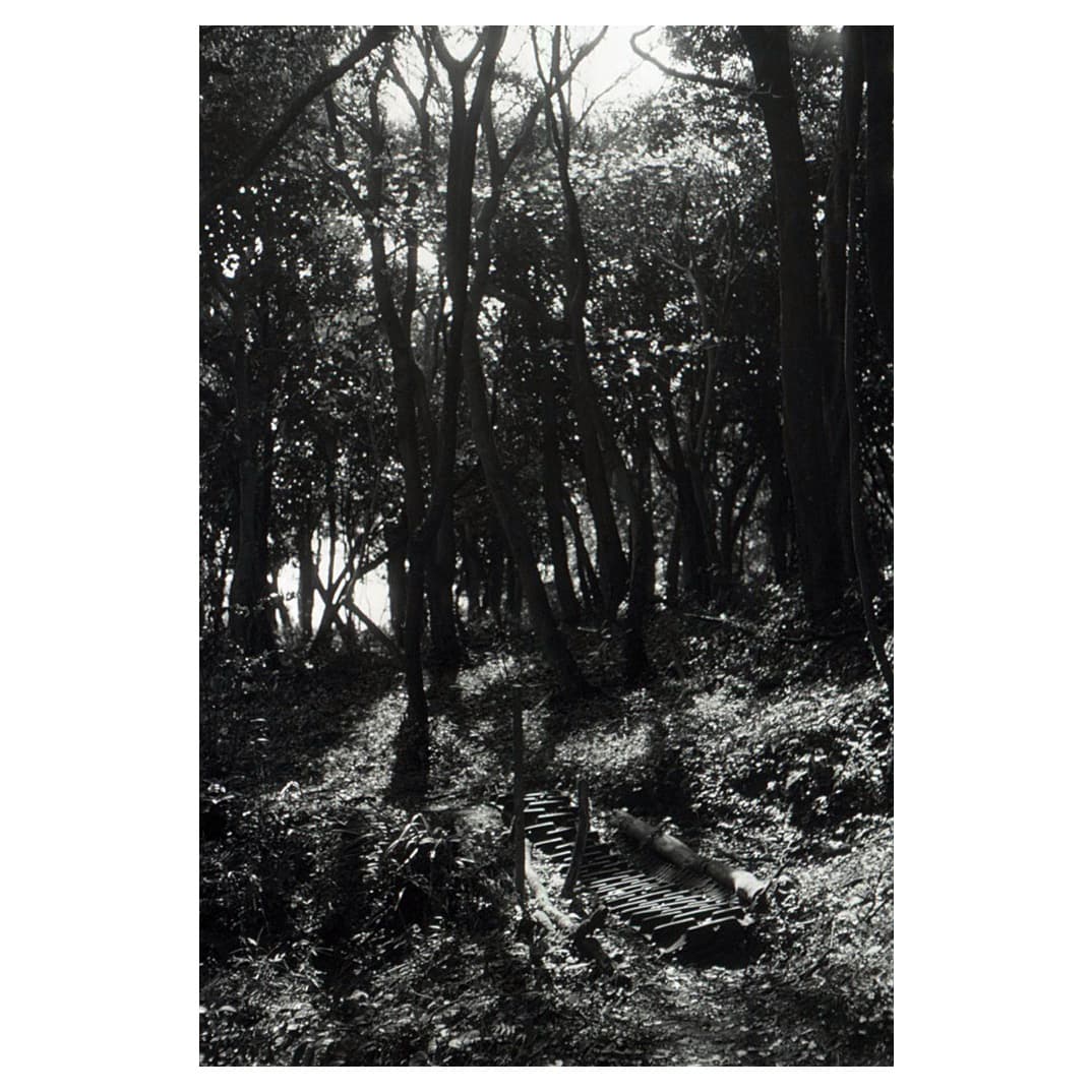 f:id:aremo-koremo:20210423031150j:plain