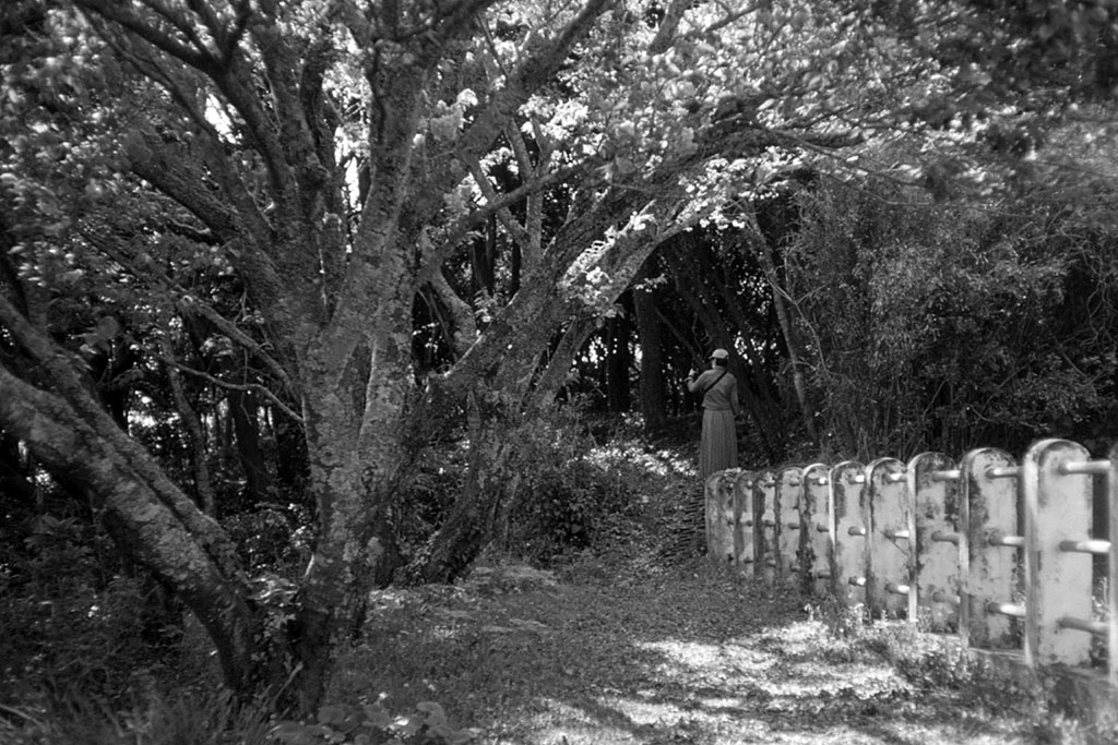 f:id:aremo-koremo:20210423031318j:plain