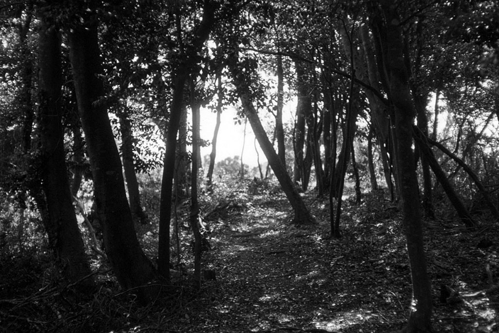 f:id:aremo-koremo:20210423161612j:plain