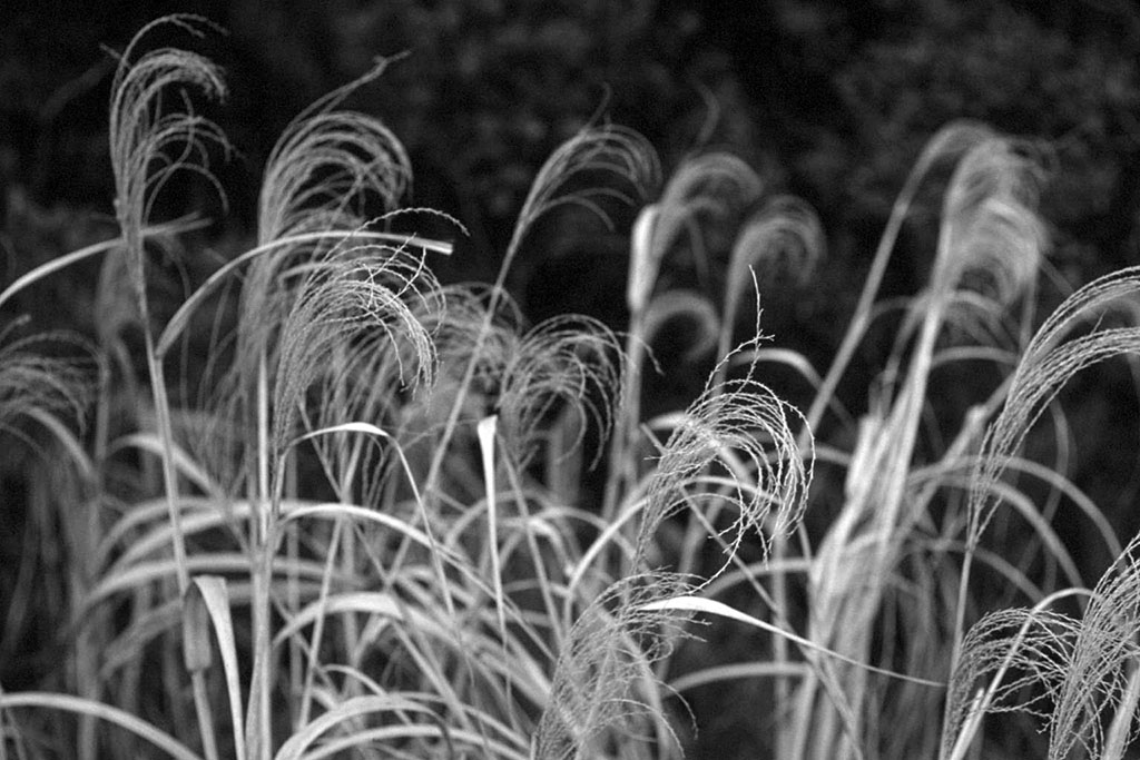 f:id:aremo-koremo:20210423162534j:plain