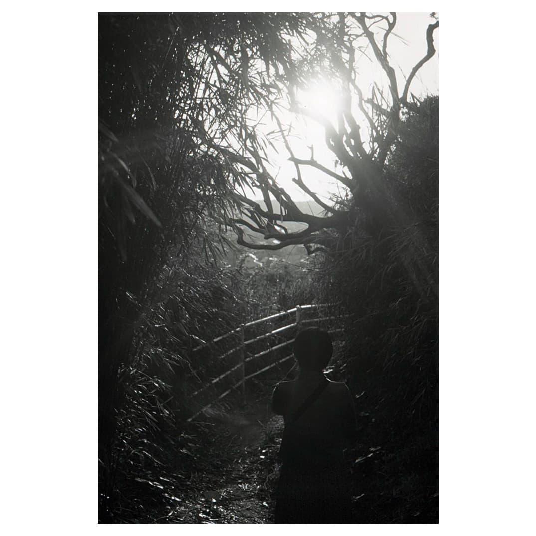 f:id:aremo-koremo:20210423163906j:plain