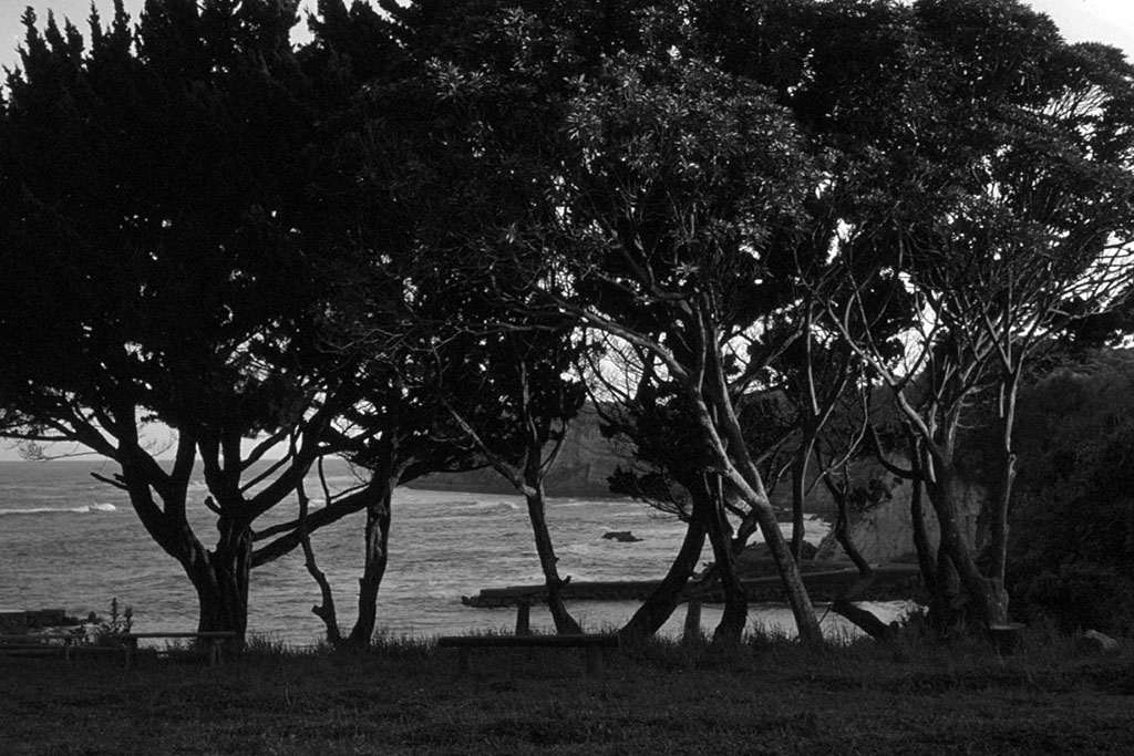 f:id:aremo-koremo:20210423164324j:plain