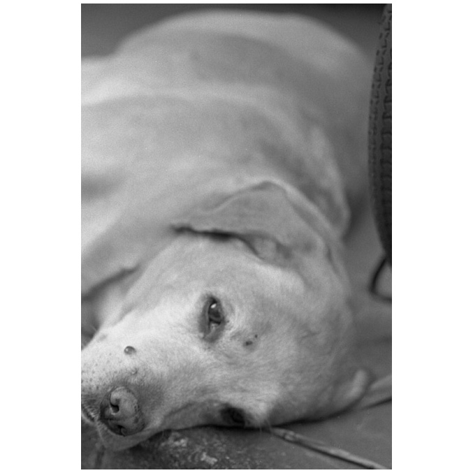 f:id:aremo-koremo:20210428174816j:plain