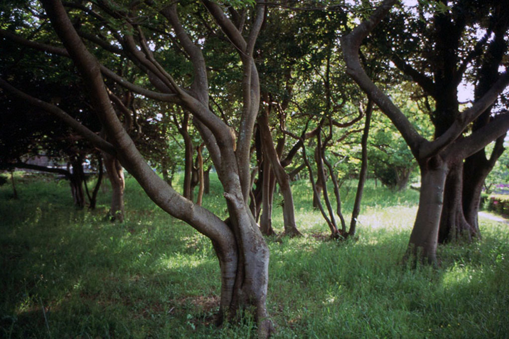 f:id:aremo-koremo:20210506182415j:plain