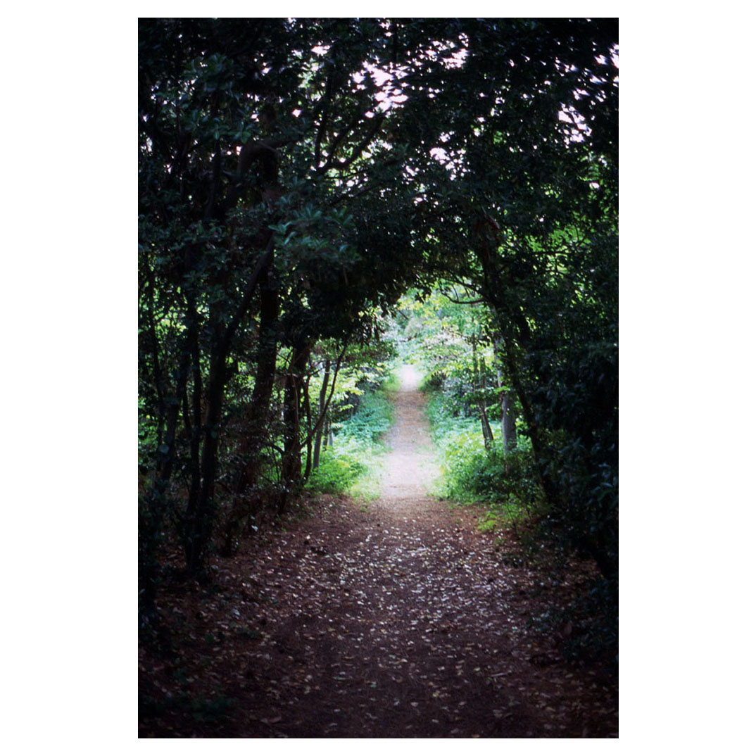 f:id:aremo-koremo:20210506182630j:plain