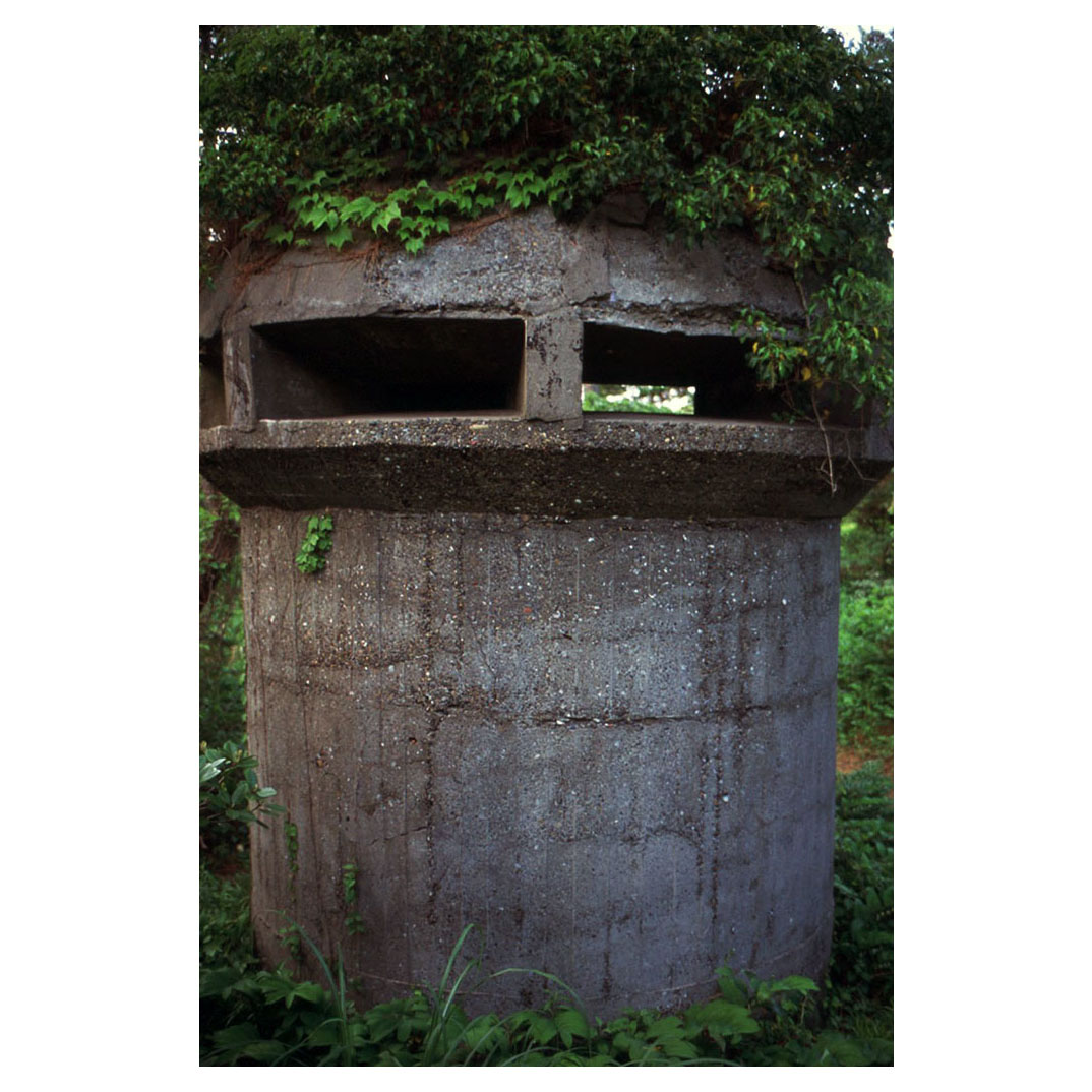 f:id:aremo-koremo:20210506183855j:plain