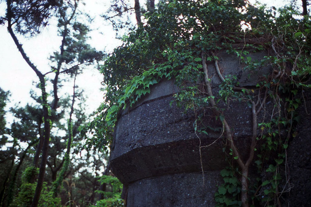 f:id:aremo-koremo:20210506183954j:plain