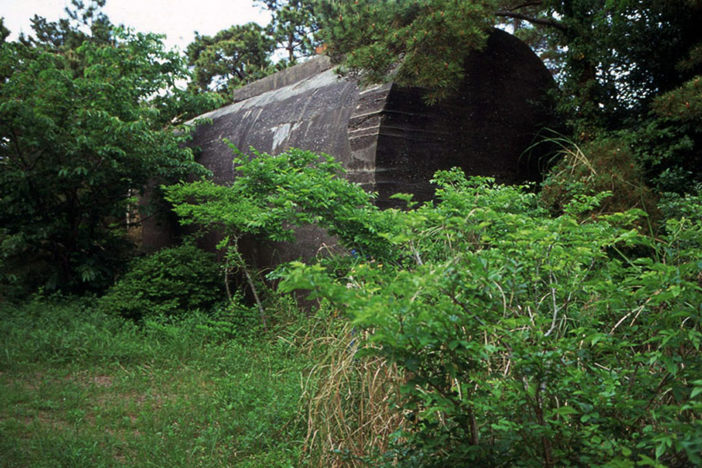 f:id:aremo-koremo:20210506184510j:plain