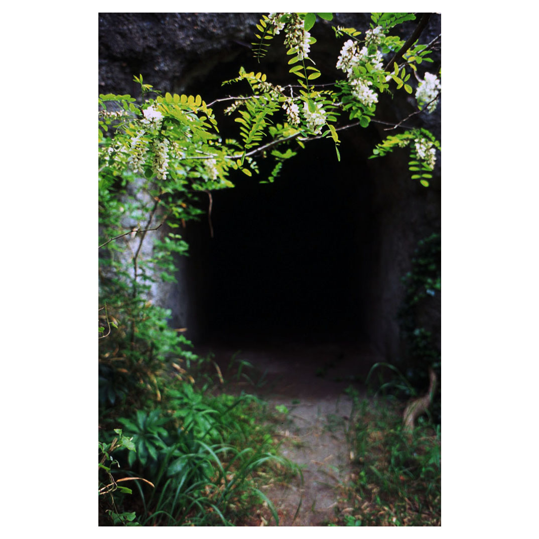 f:id:aremo-koremo:20210506184842j:plain